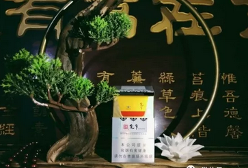 百度外烟吧【外烟资讯】